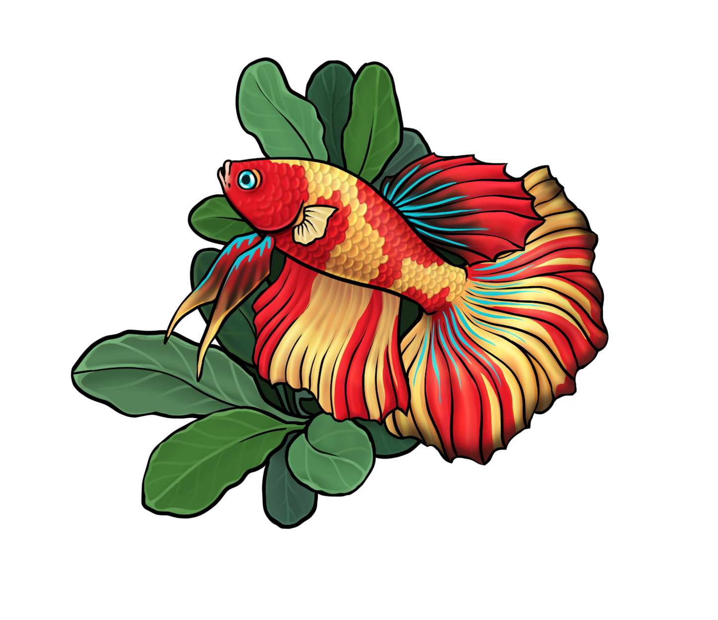 Half-moon Koi Betta Sticker 2"