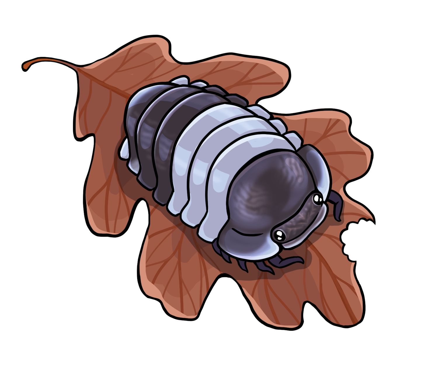 Panda King Isopod sticker 2"
