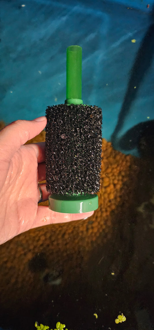 Seeded sponge filter